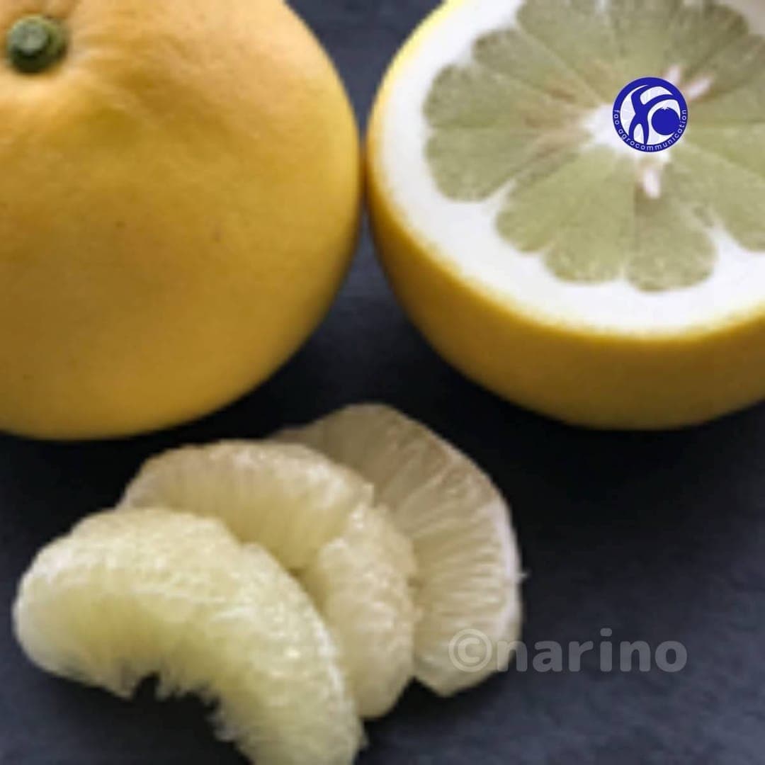 新鮮な柑橘系の果物、ザボンが切り開かれ、そのジューシーな果肉が姿を現しています。明るい黄色と白のコントラストが食欲をそそり、爽やかな印象を与えます。写真には「Onarino」の文字も確認できます。