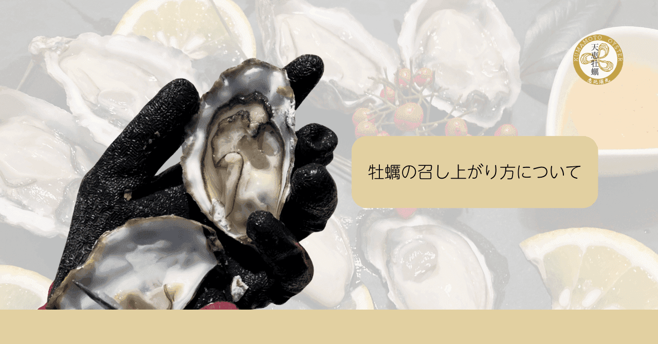 新鮮な牡蠣を黒い手袋で掴む様子が印象的な写真です。「牡蠣の召し上がり方について」というテキストが添えられており、牡蠣の食べ方を紹介するブログ記事のアイキャッチ画像として最適です。背景には牡蠣やレモン、ソースなどが配置され、食欲をそそる雰囲気です。