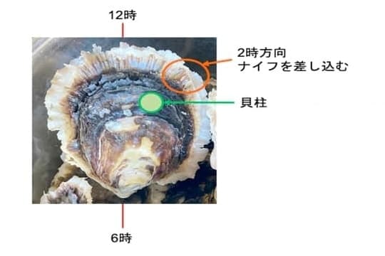 この画像は、牡蠣の殻を開ける方法を示しています。2時方向にナイフを差し込み、貝柱を外す手順が図解されています。12時と6時の位置も示されており、牡蠣の殻を開ける際の方向を示唆しています。